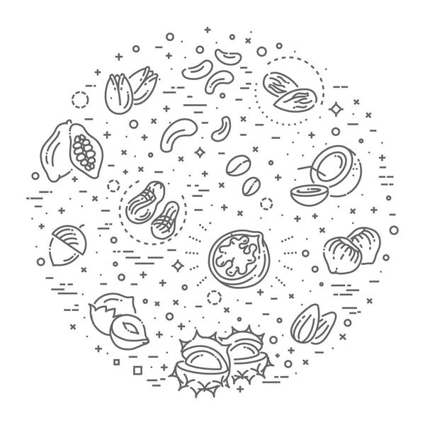 Collection d'icônes web - noix, haricots et graines — Image vectorielle
