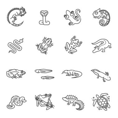Sürüngenler ve amfibiler Icons set. Çizgili Tema