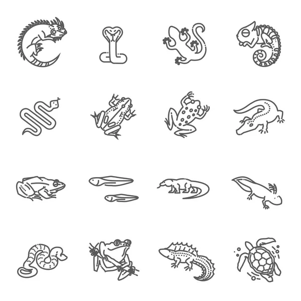 Conjunto de iconos de reptiles y anfibios. Diseño de línea — Archivo Imágenes Vectoriales