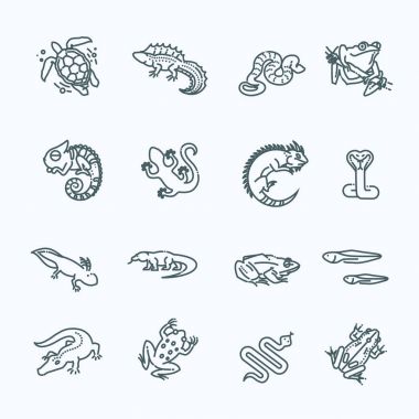 Sürüngenler ve amfibiler Icons set. Çizgili Tema