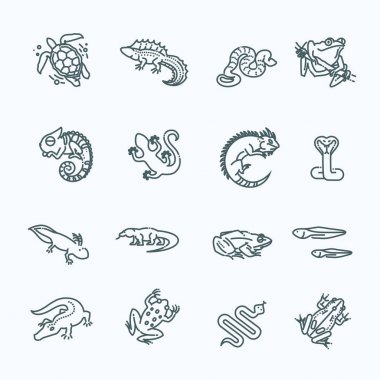 Sürüngenler ve amfibiler Icons set. Çizgili Tema