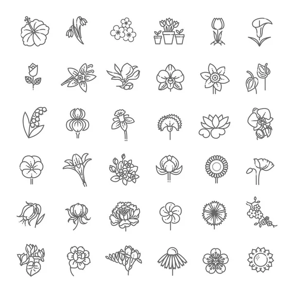 Blume Icon Set - Vektor Illustration — Stockvektor