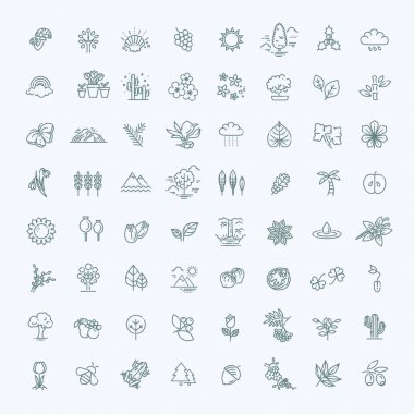 Büyük doğal Icon set
