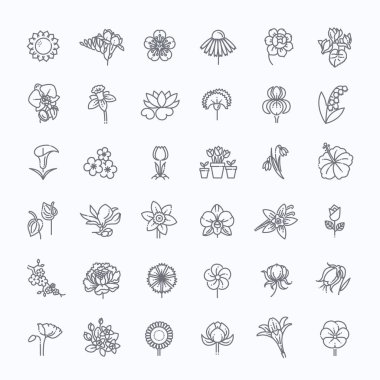 Icon Set - vektör çizim çiçek