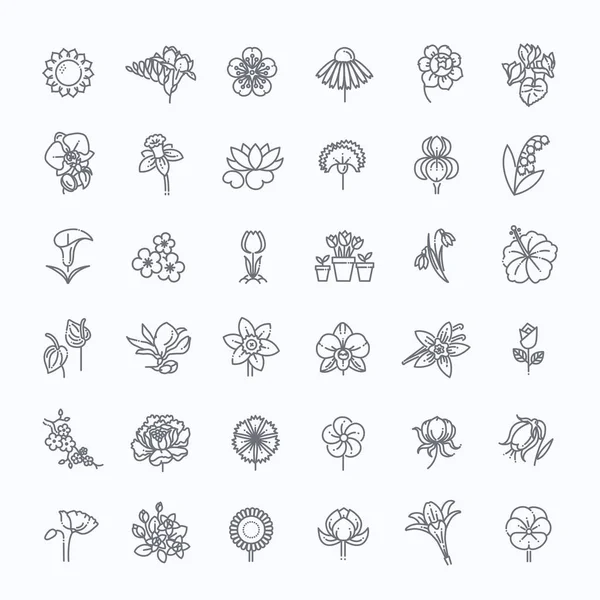 Набор цветочных икон - векторная иллюстрация — стоковый вектор