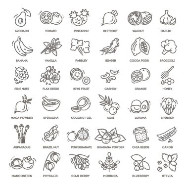 Superfood 'un vektör simgeleri. Sağlık ve diyet