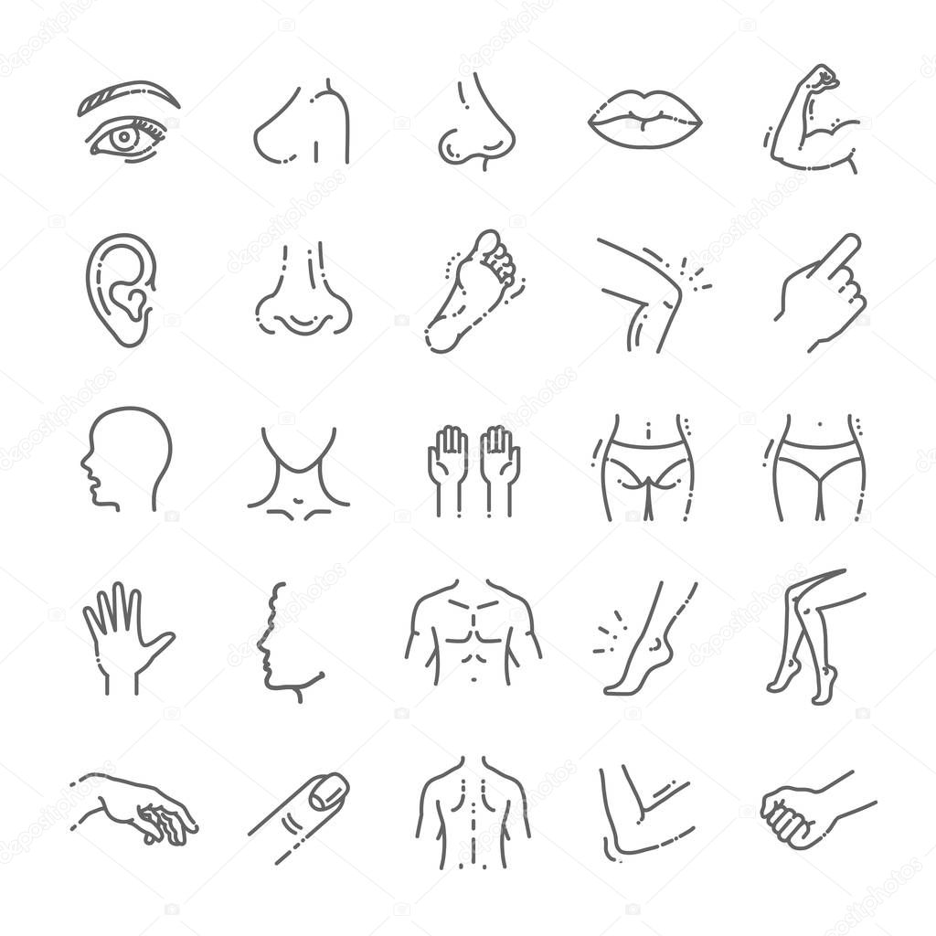 human body parts icons plastic face surgery