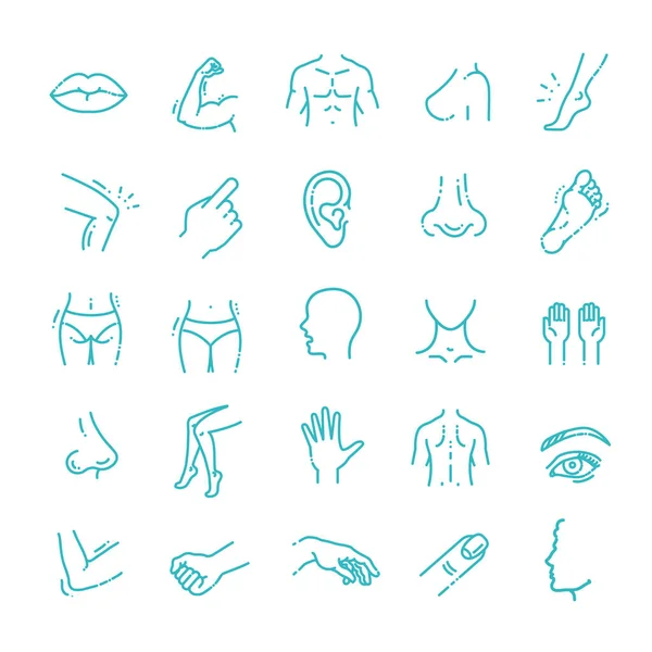 Partes del cuerpo humano iconos cirugía de la cara plástica, iconos de vectores médicos — Vector de stock