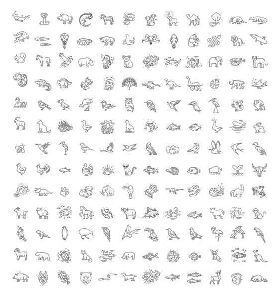 Línea animales conseptos, contorno iconos establecidos. Zoológico — Archivo Imágenes Vectoriales