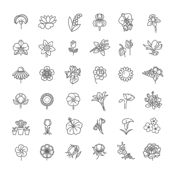 Conjunto de icono floral en diseño plano — Vector de stock