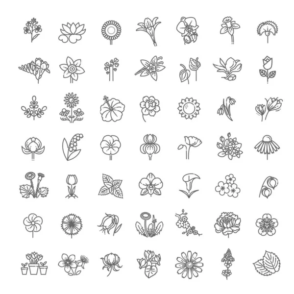 Set ikon bunga dan herbal dalam desain datar - Stok Vektor