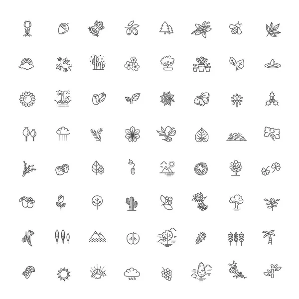 Gran Conjunto Iconos Naturales — Archivo Imágenes Vectoriales