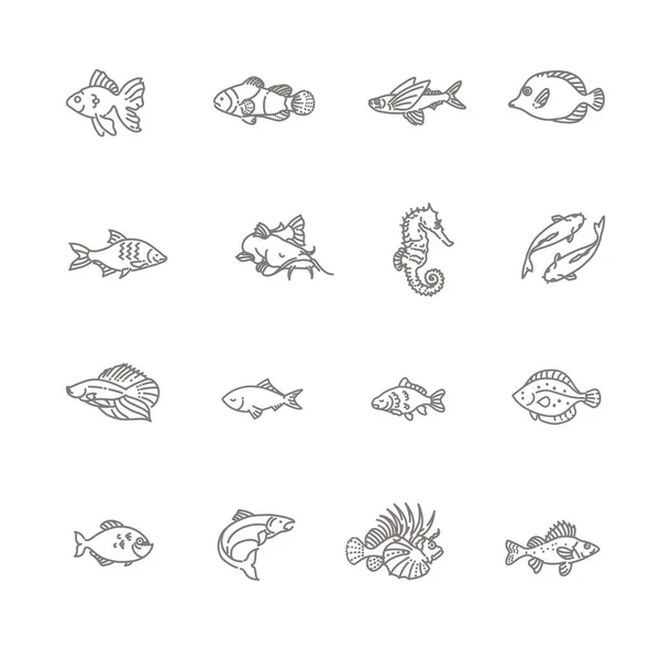 Conjunto de ícones de peixes vetores. Conjunto de ícones de peixe de contorno vetorial, aquário — Vetor de Stock