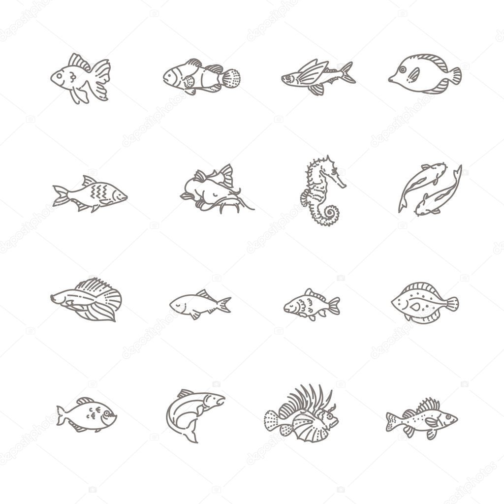 Set of vector fish icons. Set of vector outline fish icons, aquarium