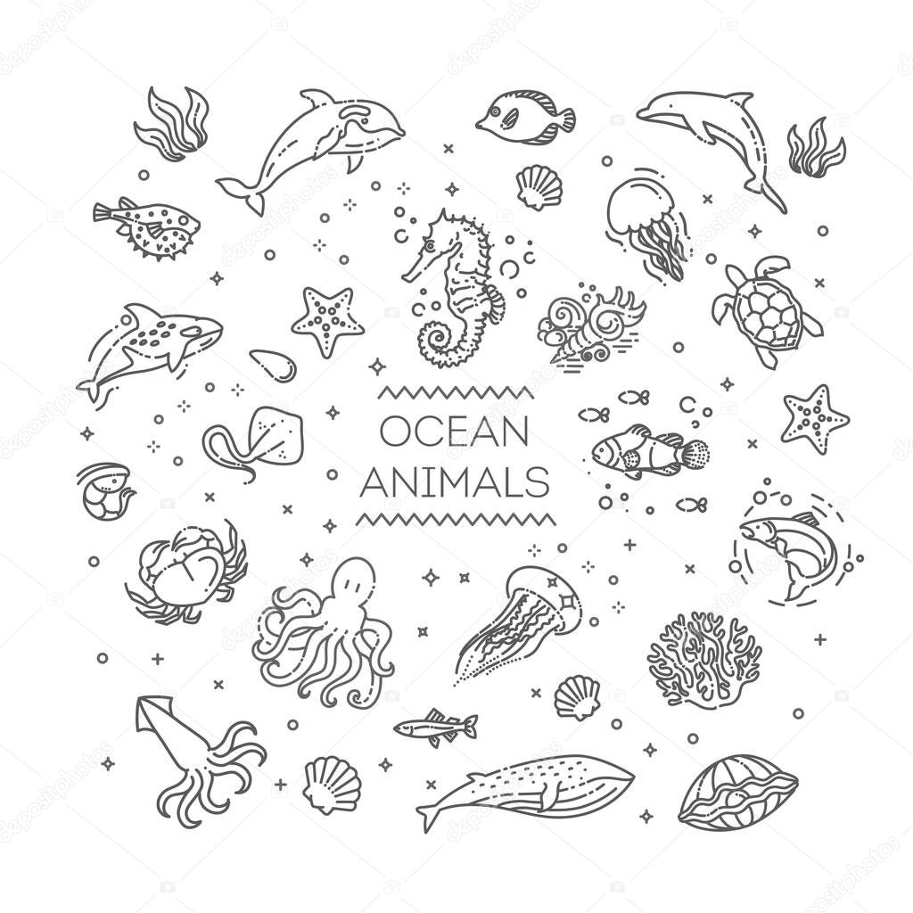 Marine life. Underwater fauna. Aquatic creatures