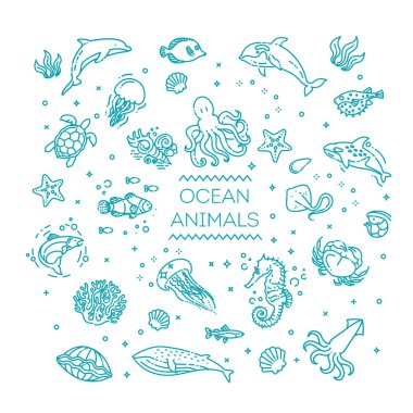 Deniz hayatı. Su altı faunası. Su canlıları