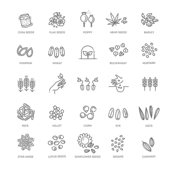 Набор векторных значков растений — стоковый вектор