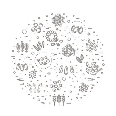 Bitki tohumu vektör simgesi belirlendi
