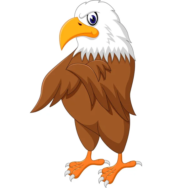 Eagle tecknad poserar illustration — Stock vektor