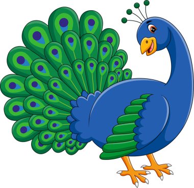 illustration of Cute peacock cartoon clipart