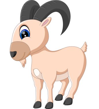 şirin koala çizgi film gösterimi