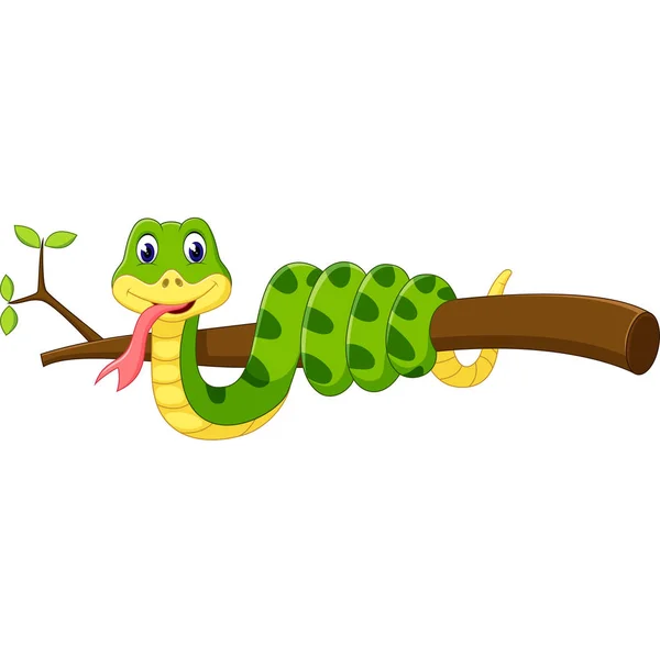 Cute green snake cartoon of illustration — Stock Vector