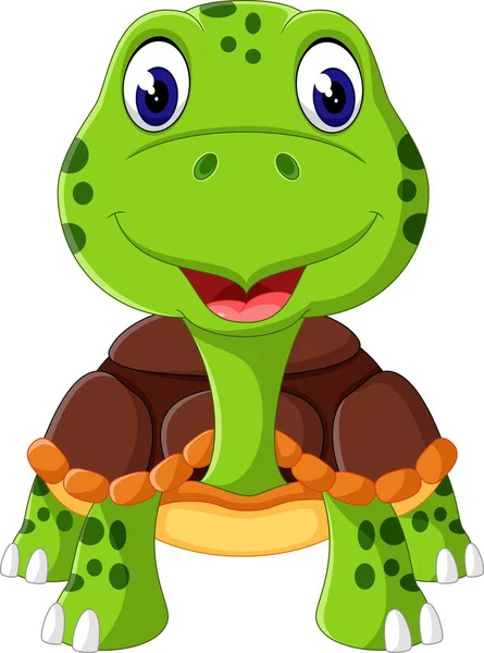 Cartoon funny turtle isolated on white background — Stock Vector