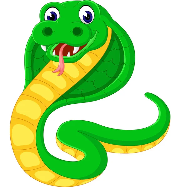 Bonito Cobra Desenho Animado Ilustração imagem vetorial de vectorsmarket©  624926034