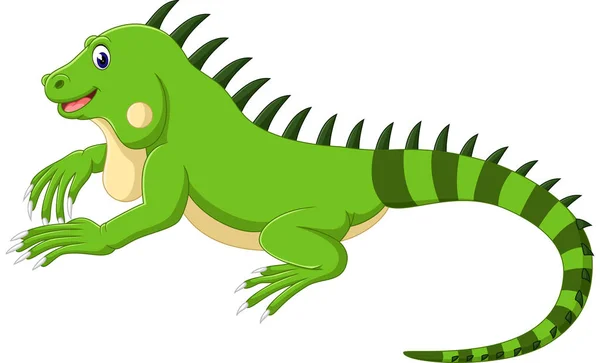 Cute iguana cartoon — Stock Vector