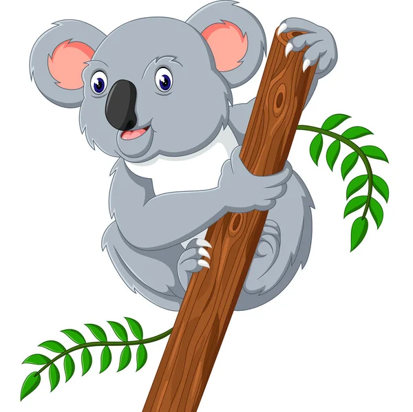 Ilustración de dibujos animados koala lindo — Archivo Imágenes Vectoriales