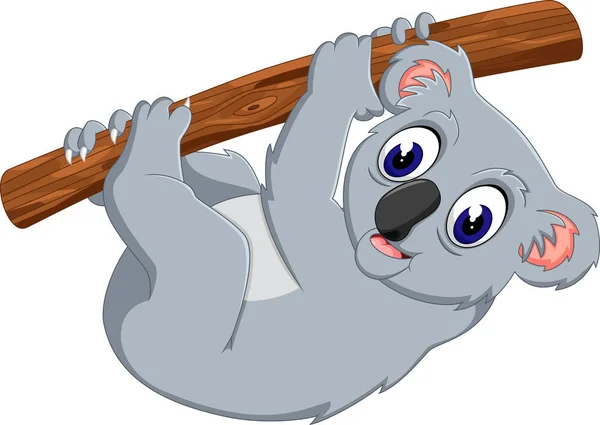 Ilustración de dibujos animados koala lindo — Archivo Imágenes Vectoriales