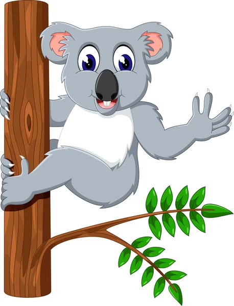 Ilustración de dibujos animados koala lindo — Archivo Imágenes Vectoriales