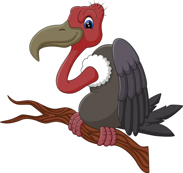 Illustrazione del cartone animato Avvoltoio — Vettoriale Stock