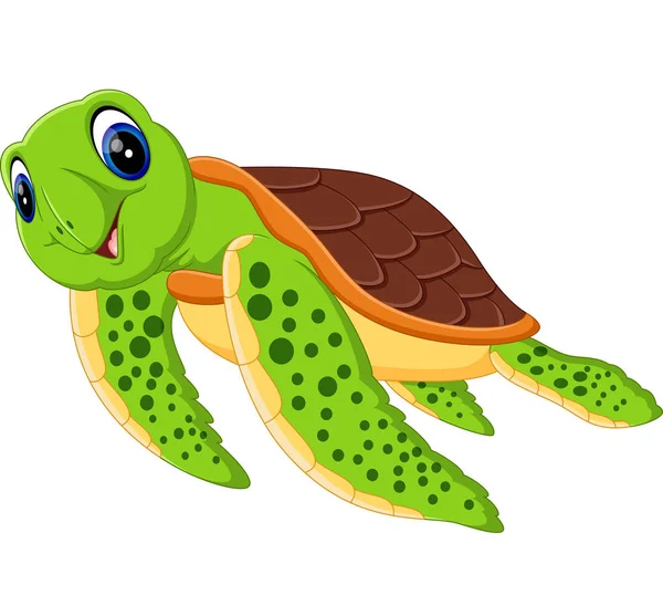 可爱的海龟卡通的插图 — 图库矢量图片