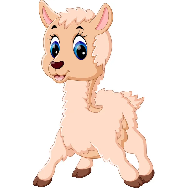 Illustration de Bébé mouton dessin animé mignon — Image vectorielle