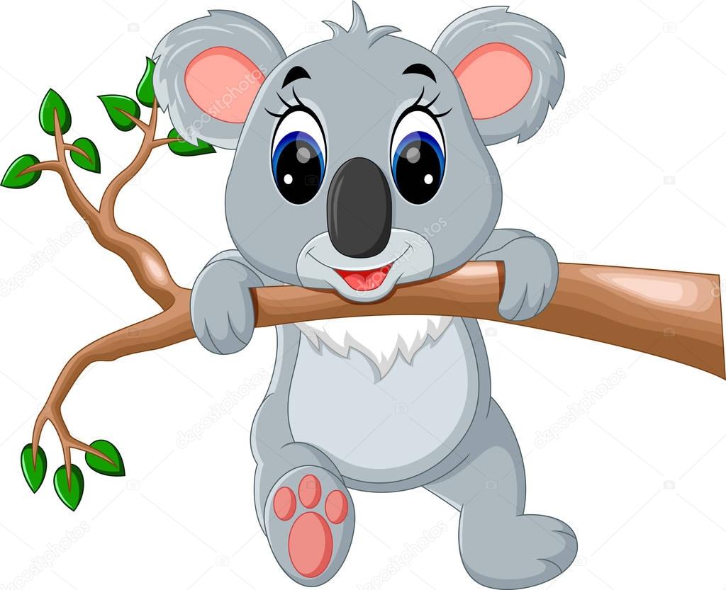 Lindo koala dibujos animados vector, gráfico vectorial