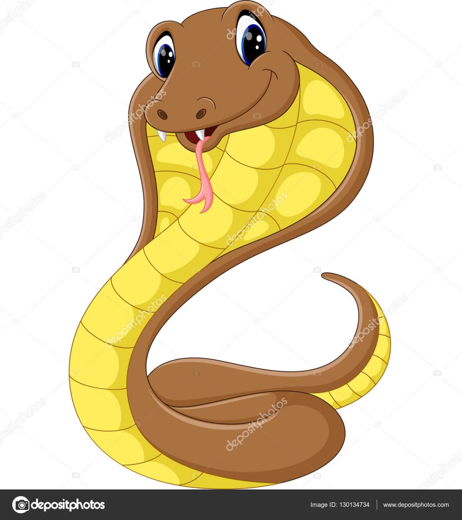 Cute cobra snake cartoon Stock Vector Image by ©hermandesign2015@ #130134734 Cute cobra snake cartoon Stock Vector Image by ©hermandesign2015@ #130134734