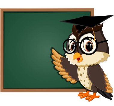 blackboard baykuş öğretmen çizimi
