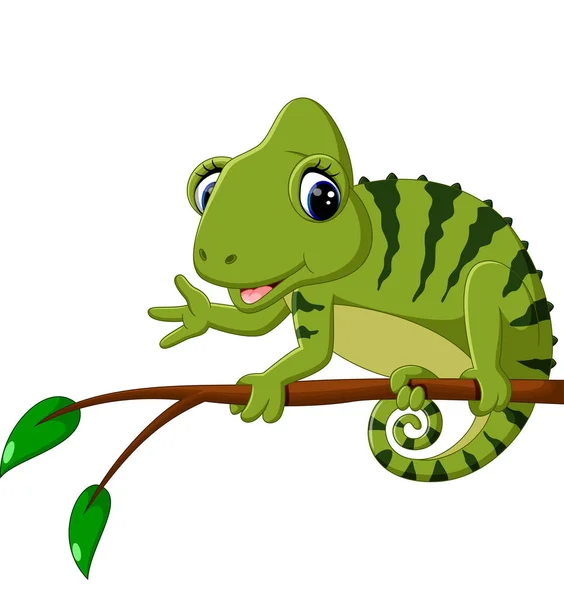 Roztomilý kreslený Chameleon — Stockový vektor