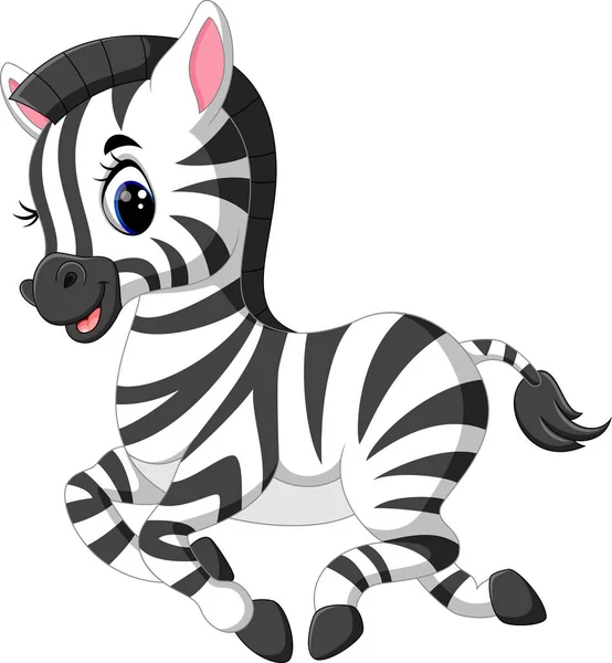 Ilustracja z cute dziecko zebra — Wektor stockowy
