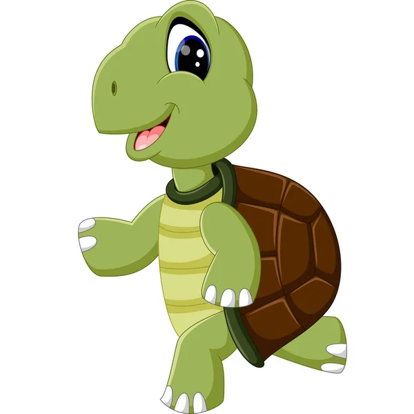 Cute turtle cartoon — Stock Vector