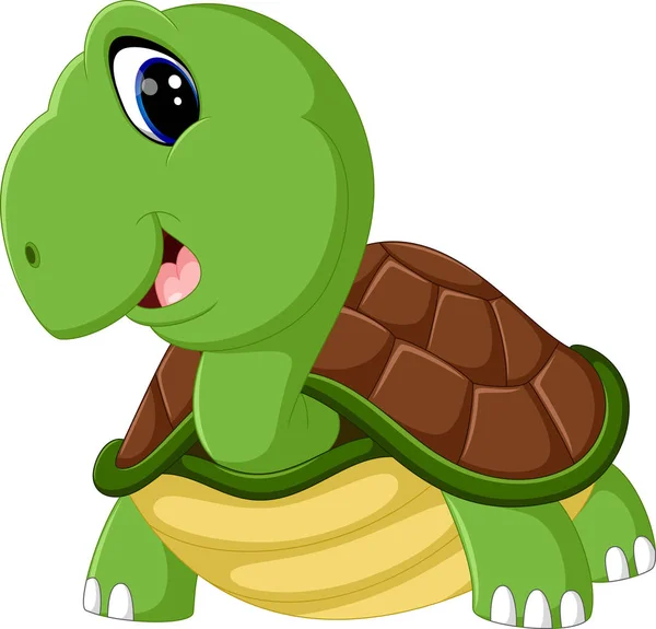 Милый черепаховый мультфильм — стоковый вектор