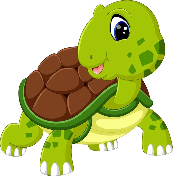 Cute turtle cartoon — Stock Vector