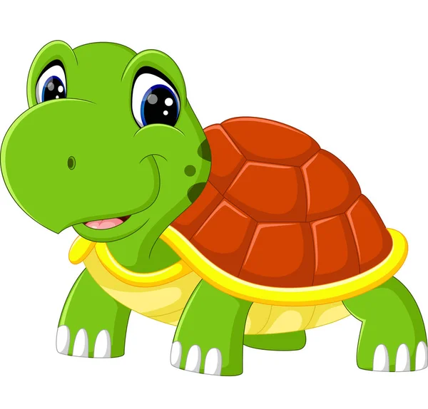 Cute turtle cartoon — Stock Vector