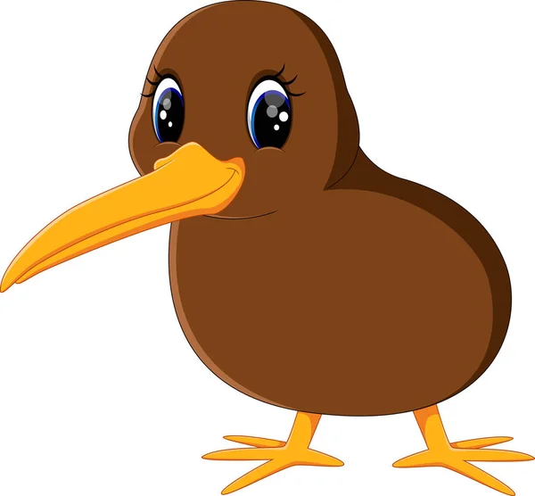 Kiwi bird Vector Art Stock Images | Depositphotos Kiwi bird Vector Art Stock Images | Depositphotos