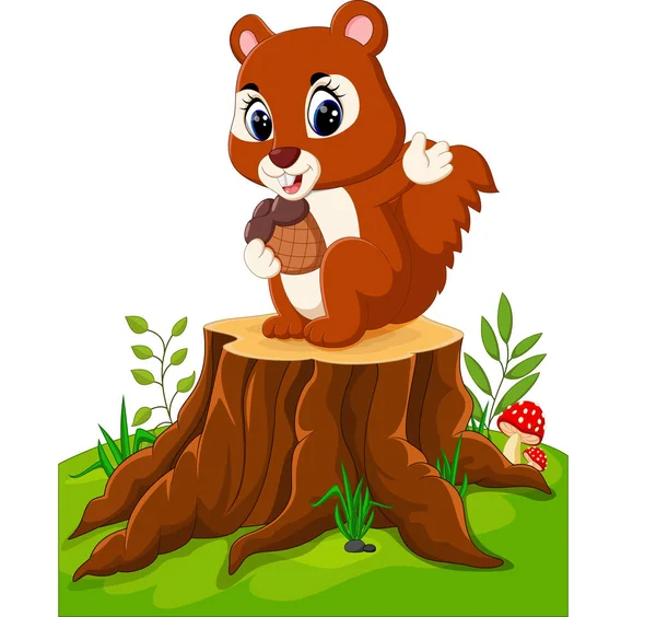 Dibujos animados divertida ardilla sosteniendo cono de pino en tocón de árbol — Vector de stock