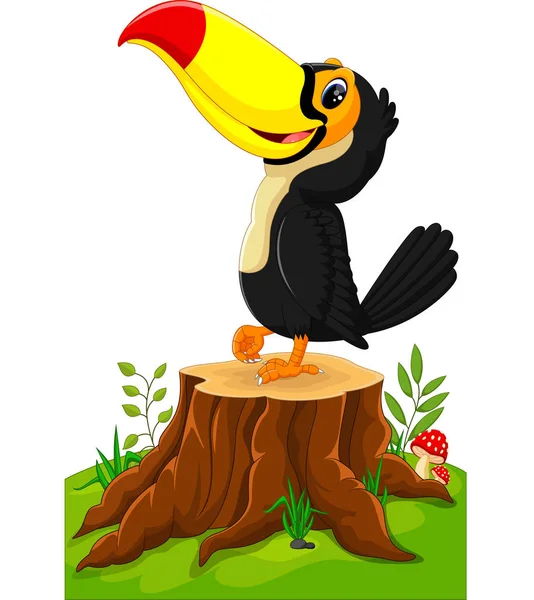 Cartoon happy toucan on tree stump — Stock Vector