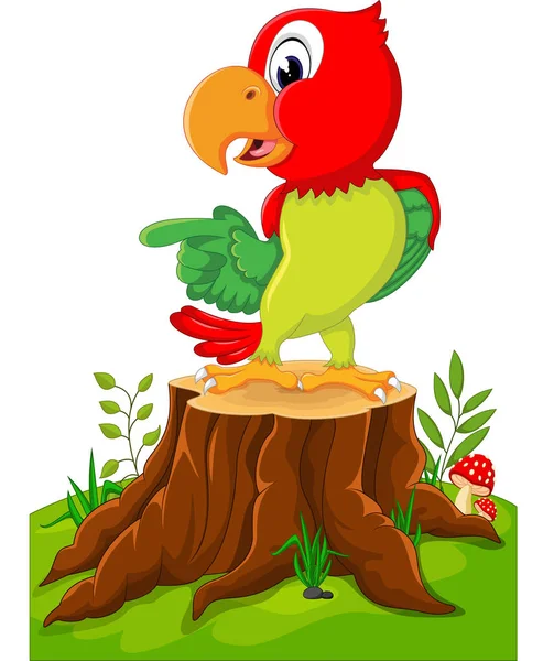 Dibujos animados lindo loro en tocón de árbol — Vector de stock