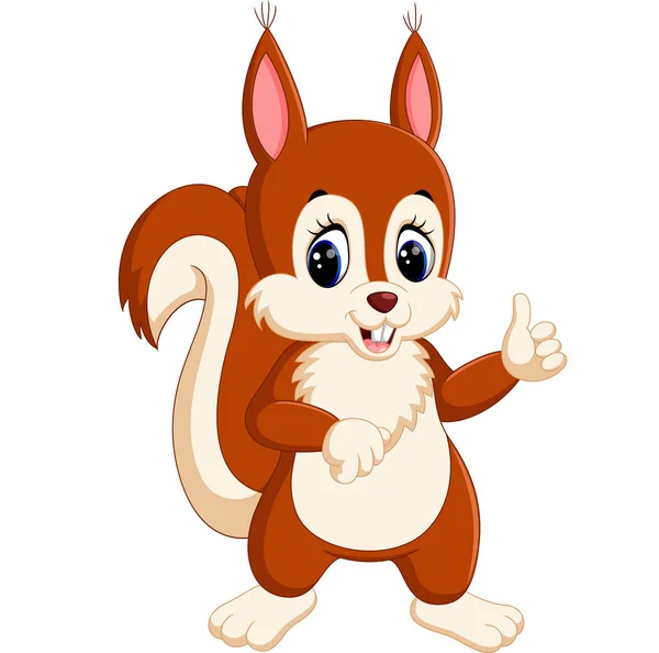 Cute squirrel cartoon — Stock Vector