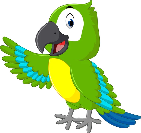 Illustration of cute macaw cartoon — Stock Vector